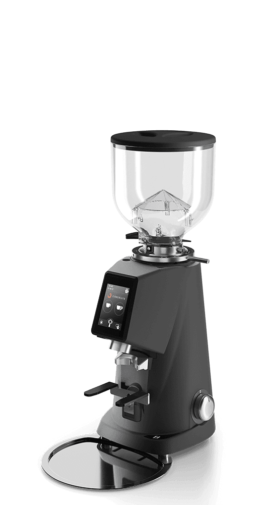 Molino de Café Fiorenzato F4 EVO